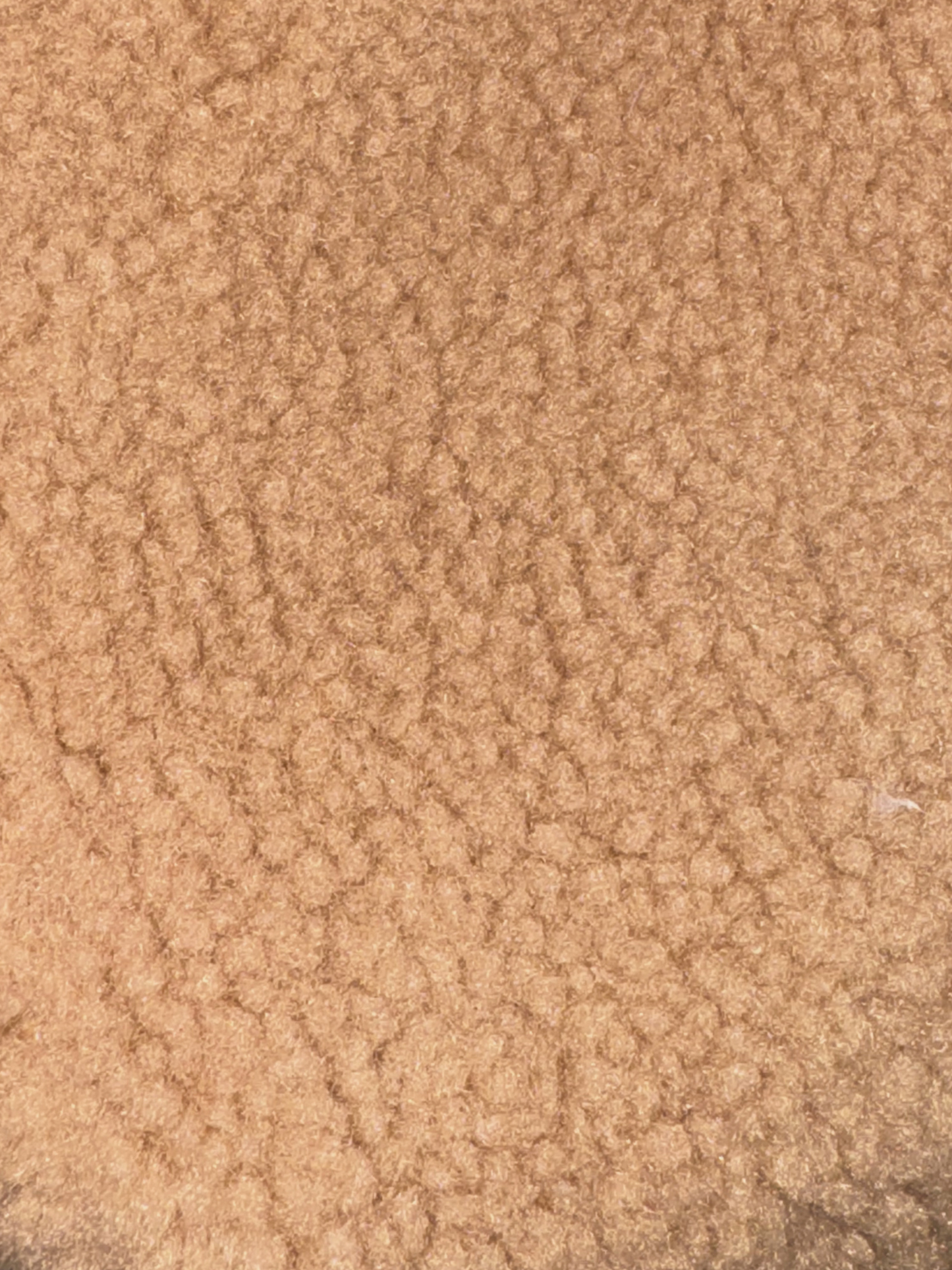 Bodyless bag - Teddy Bruin